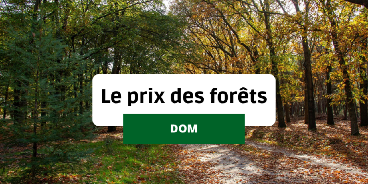 Le prix de vente des forêts dans les Départements et Régions d'Outre-Mer (DROM)