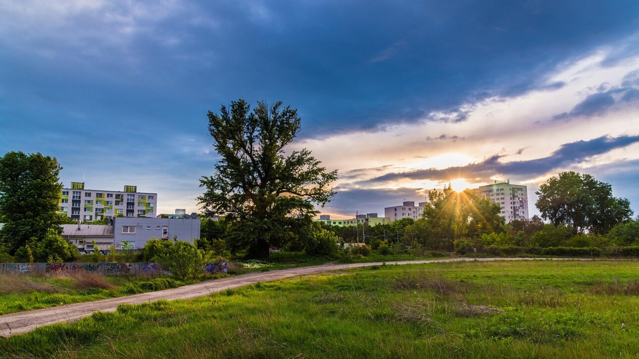 How does a property developer assess the risks before buying a plot of land?