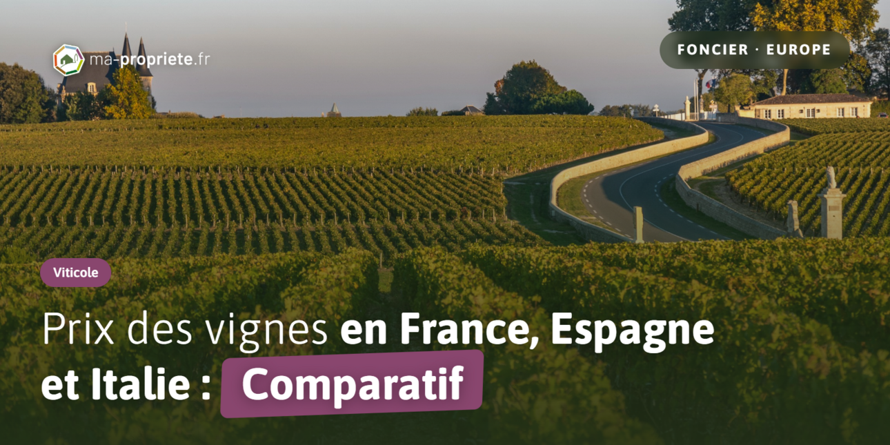 Prix des vignes en Europe : combien vaut un hectare de vignoble en France, en Espagne et en Italie ?