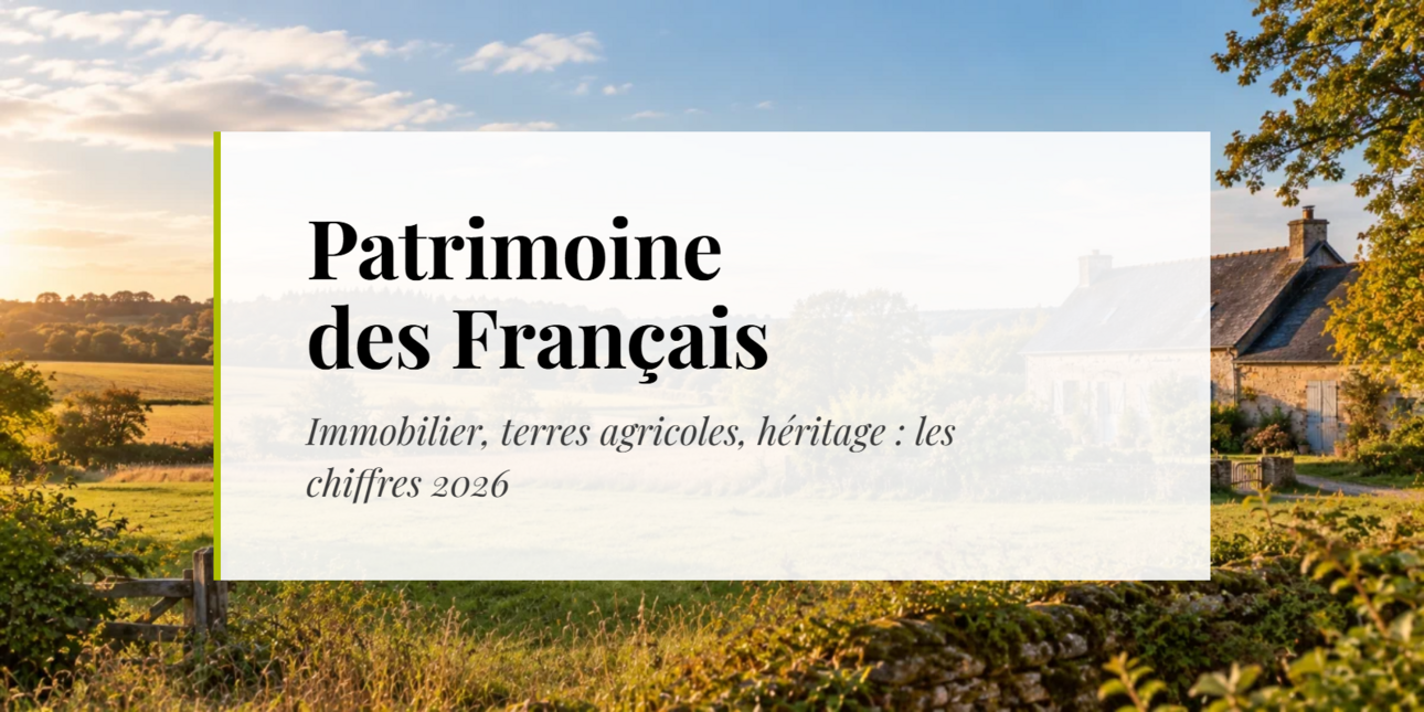 Patrimoine des Français : ce que révèlent les derniers chiffres INSEE sur l'immobilier, les terres agricoles et l'héritage